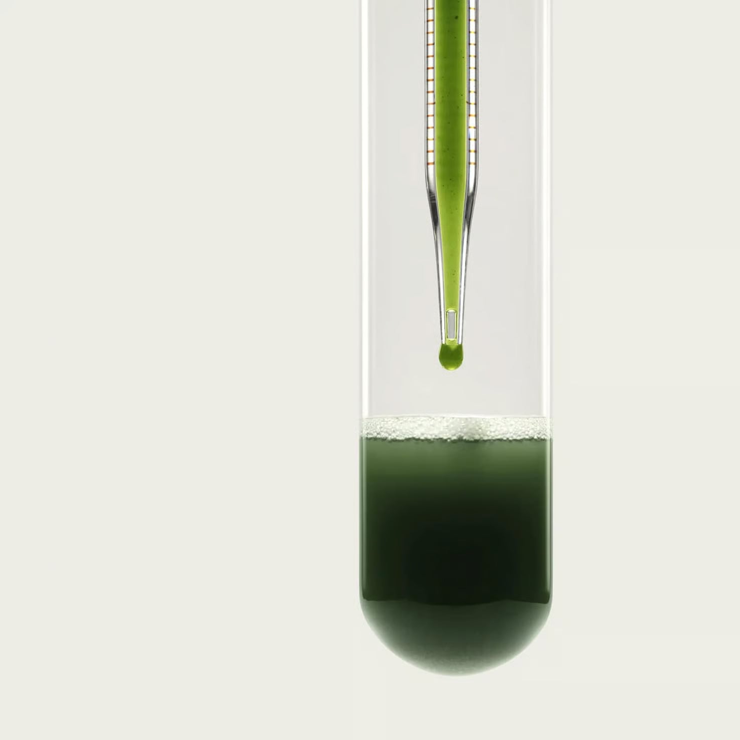 The Science Behind Cloud: Why Greens, Mushrooms & Probiotics Work Better Together